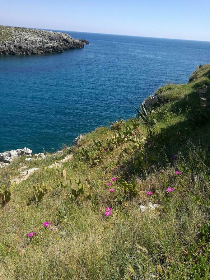 Badisco Vacanze Οτράντο Εξωτερικό φωτογραφία
