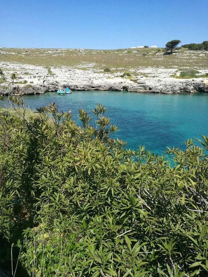 Badisco Vacanze Οτράντο Εξωτερικό φωτογραφία